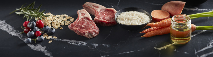 A closer look at Puppy Food With Squash And Lamb
