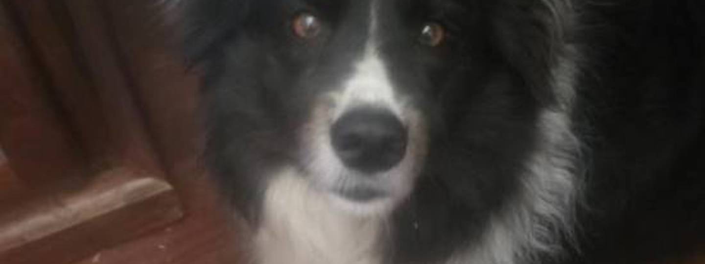 Michael Freeze Dried Beef 550X550 background image