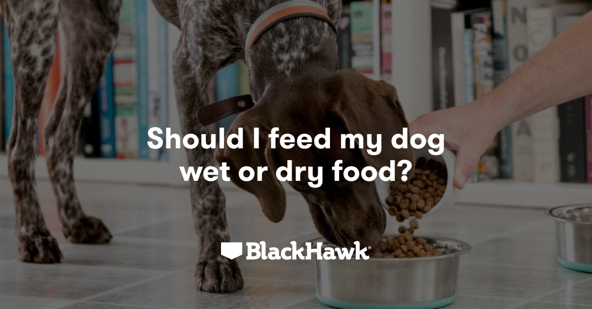 Wet or Dry Dog Food What Should I Feed Black Hawk Black Hawk