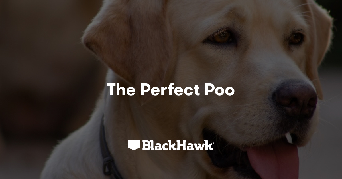 Perfect Hawk Dog Poo. Whats normal and what's not? | Black Hawk - Black Hawk