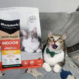 Nikki Indoor Dry Cat Food 550X550