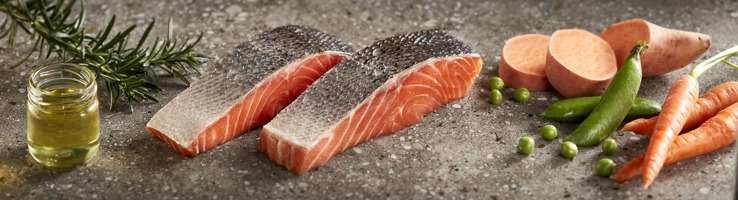 Grain Free Dog Food | Tasmanian Salmon | Black Hawk - Black Hawk