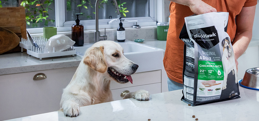 Have you chosen a good dog food? Black Hawk Black Hawk