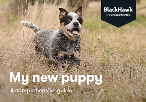 Black Hawk Puppy Guide