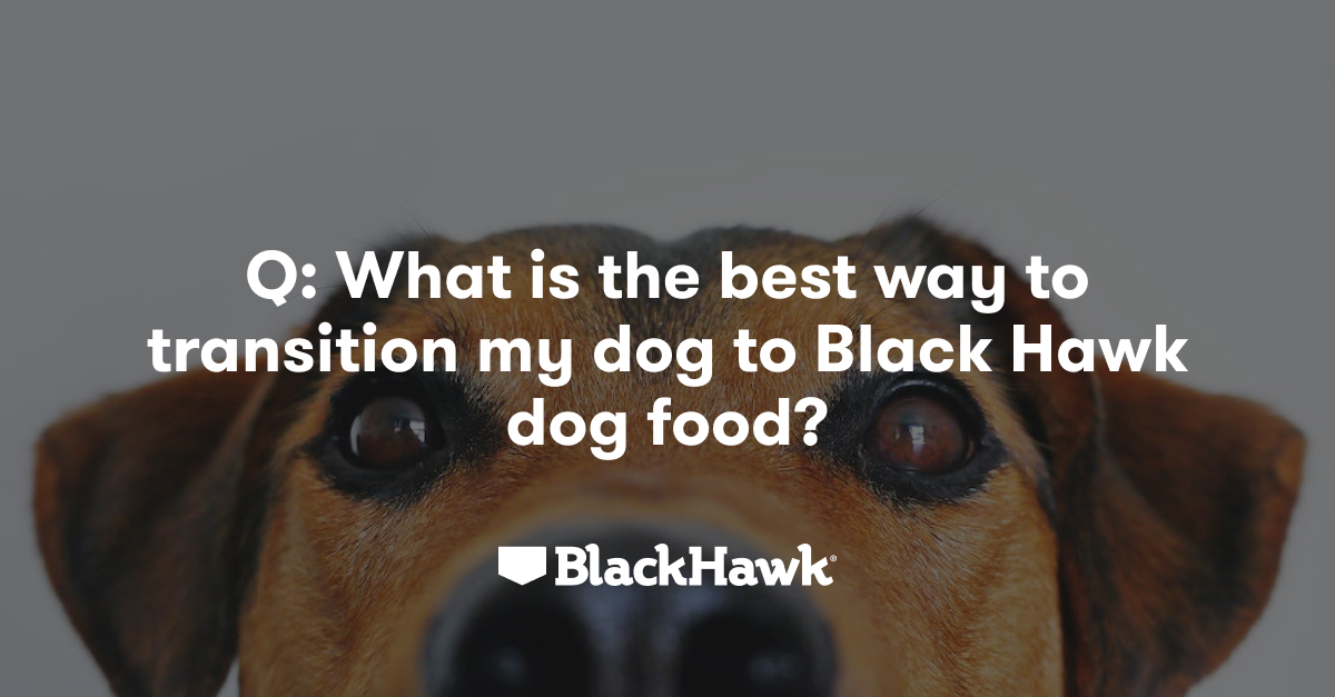 New to Black Hawk Dog Food? Black Hawk Black Hawk